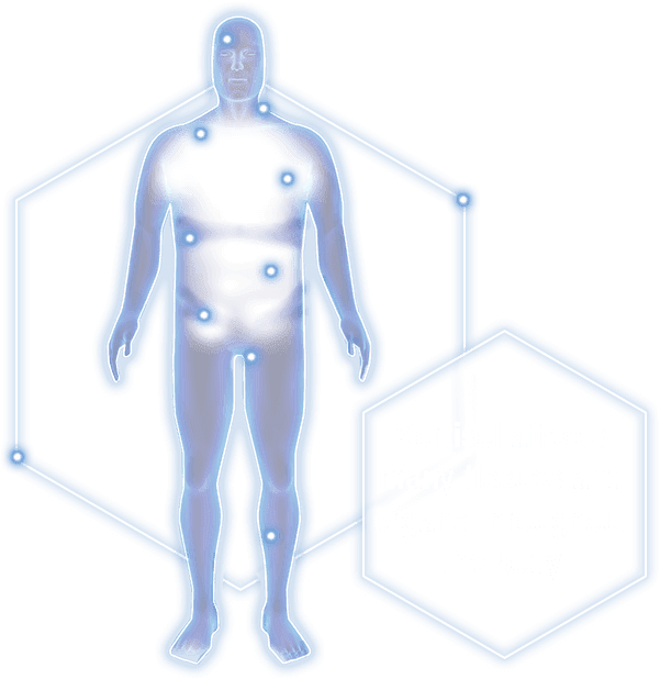 Cortisol affects many tissues and organs throughout the body