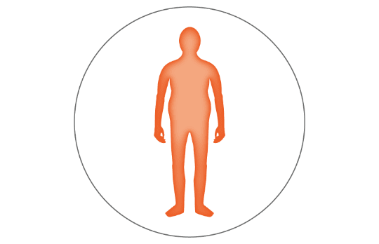 Human Body Icon