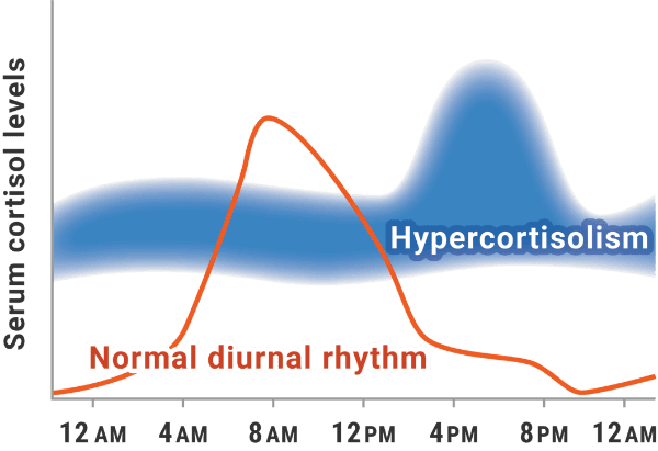 Graph showing normal diurnal rhythm with peak serum cortisol levels between 6 am and noon, with hypercortisolism maintaining higher levels with a peak between 4 pm and 8 pm