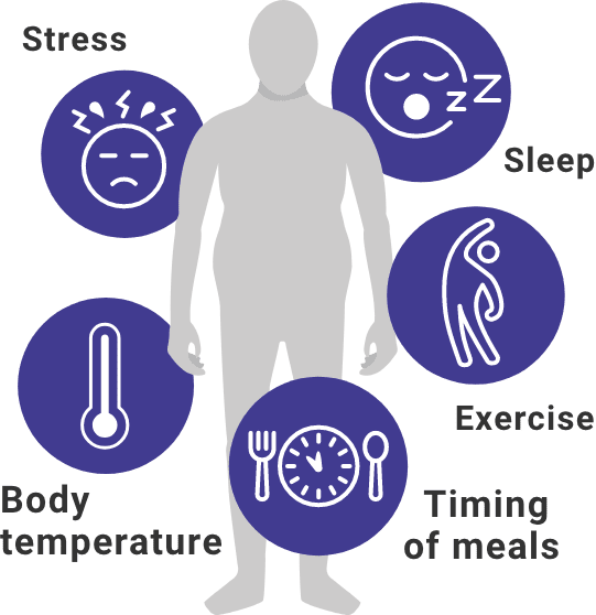 Image depicting five stress factors that cortisol helps regulate, including sleep, exercise, meal timing, body temperature, and stress